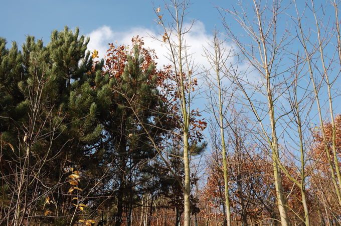 Landschaftspark Hoheward Recklinghausen 14