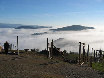 BERG MAGDALENSBERG > Ausblick bei der Helenenkirche