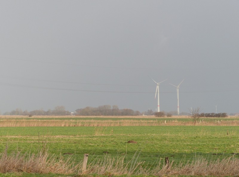 Sturm Nordsee (32)