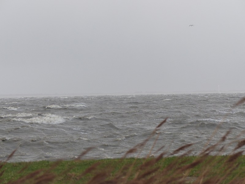 Sturm Nordsee (40)