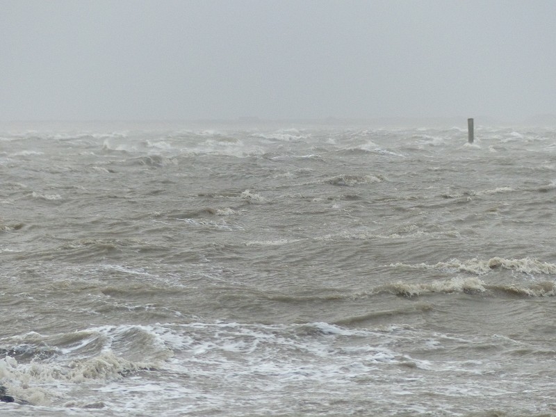 Sturm Nordsee (42)