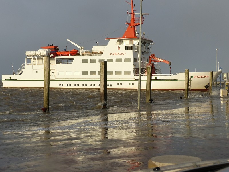 Sturm Nordsee (44)