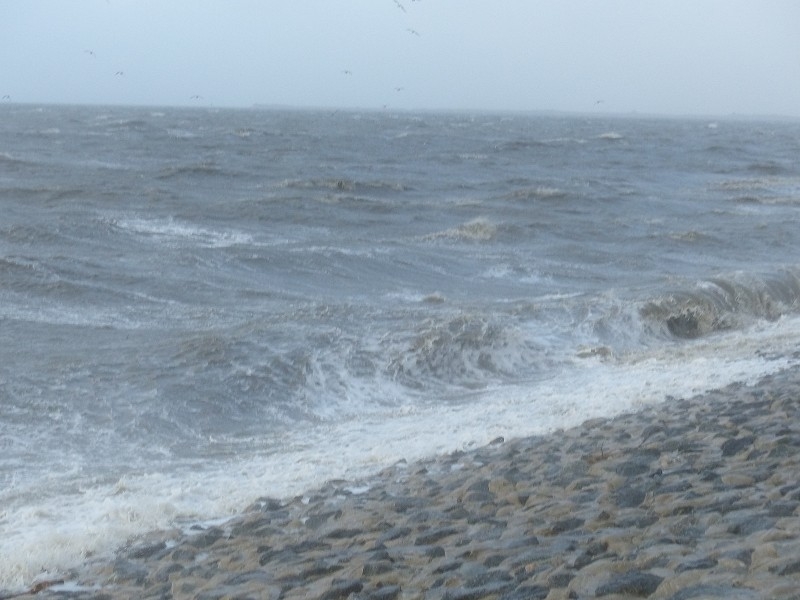 Sturm Nordsee (51)