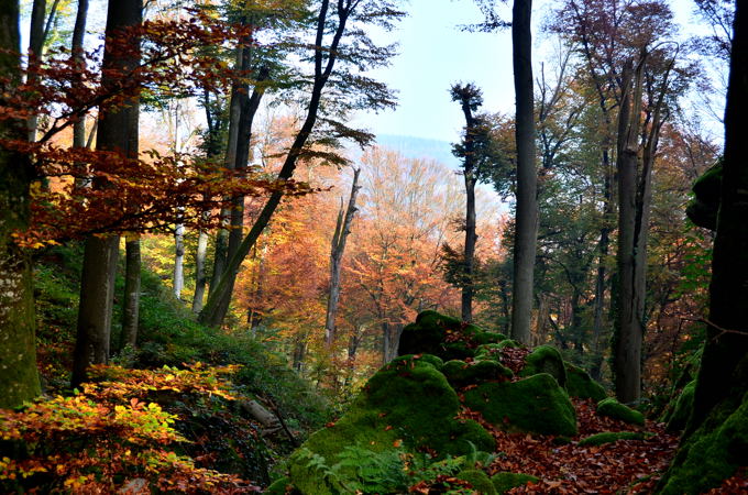 Teufelsschlucht 2 5