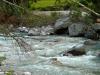 Zillertal grantig und lieblich 4 Zillertal grantig und lieblich 4