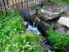 Zillertal grantig und lieblich 7 Zillertal grantig und lieblich 7
