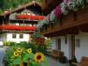 Zillertal grantig und lieblich,Teil 2 7 Zillertal grantig und lieblich,Teil 2 7