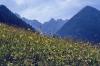 Wanderungen im Lechtal 4 Wanderungen im Lechtal 4