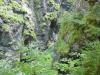 An der österr. Grenze, Kaiserklamm An der österr. Grenze, Kaiserklamm