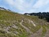 Achenkirch>Köglalm Achenkirch>Köglalm