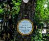 Museumsfriedhof Museumsfriedhof