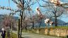 DSCN1584 DSCN1584