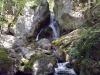 MUGGENDORF > Myra Fälle 2 MUGGENDORF > Myra Fälle 2