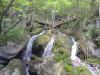 MUGGENDORF > Myra Fälle MUGGENDORF > Myra Fälle