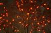 WIEN > Adventszeit bei Nacht 2 WIEN > Adventszeit bei Nacht 2