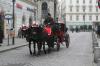 Fiaker am Stefansplatz