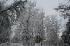 BÖBLINGEN-RAUHER KAPF > Waldsiedlung - Schneeeindrücke vom 13.12.2008 BÖBLINGEN-RAUHER KAPF > Waldsiedlung - Schneeeindrücke vom 13.12.2008