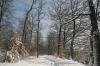 BÖBLINGEN-RAUHER KAPF > Waldsiedlung - Schneespaziergang am 26. Dezember 2010 > Theodor-Renner-Weg BÖBLINGEN-RAUHER KAPF > Waldsiedlung - Schneespaziergang am 26. Dezember 2010 > Theodor-Renner-Weg