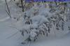 BÖBLINGEN-RAUHER KAPF > Waldsiedlung - Schneespaziergang am 26. Dezember 2010 > Theodor-Renner-Weg BÖBLINGEN-RAUHER KAPF > Waldsiedlung - Schneespaziergang am 26. Dezember 2010 > Theodor-Renner-Weg