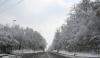 BÖBLINGEN-RAUHER KAPF > Waldsiedlung - Schneeeindrücke vom 13.12.2008 BÖBLINGEN-RAUHER KAPF > Waldsiedlung - Schneeeindrücke vom 13.12.2008