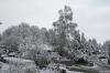 BÖBLINGEN-RAUHER KAPF > Waldsiedlung - Schneeeindrücke vom 13.12.2008