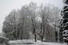BÖBLINGEN-RAUHER KAPF > Waldsiedlung - Schneeeindrücke vom 13.12.2008 BÖBLINGEN-RAUHER KAPF > Waldsiedlung - Schneeeindrücke vom 13.12.2008