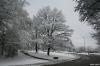 BÖBLINGEN-RAUHER KAPF > Waldsiedlung - Schneeeindrücke vom 13.12.2008