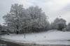 BÖBLINGEN-RAUHER KAPF > Waldsiedlung - Schneeeindrücke vom 13.12.2008 BÖBLINGEN-RAUHER KAPF > Waldsiedlung - Schneeeindrücke vom 13.12.2008