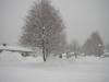 KÖTSCHACH-MAUTHEN > Schneetreiben KÖTSCHACH-MAUTHEN > Schneetreiben