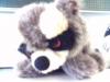 Waschbär als Maskottchen Waschbär als Maskottchen