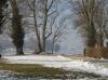 CHIEMSEE > Winter > Fraueninsel >  Blick zur Herreninsel