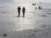 CHIEMSEE > Winter > Eisweg > Wandern auf dem Eis CHIEMSEE > Winter > Eisweg > Wandern auf dem Eis