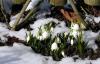 Fraueninsel im Februar 4 Fraueninsel im Februar 4