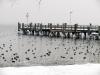 Winter 2012 am Chiemsee 4