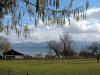 Vorfruehling am Chiemsee 3 Vorfruehling am Chiemsee 3
