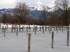 CHIEMSEE > Winterende > Blick zum Hochfelln