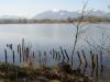 CHIEMSEE > Blick auf das Südufer