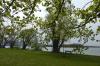 Chiemsee 950 5 037 Chiemsee 950 5 037