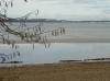 CHIEMSEE > Winterende > Haselstrauch CHIEMSEE > Winterende > Haselstrauch
