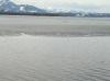 CHIEMSEE > Winterende > eisfreie Flächen CHIEMSEE > Winterende > eisfreie Flächen