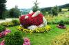 Pöllauberg > Blumenhase Pöllauberg > Blumenhase
