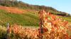 10 Heilbronn Weinsberg Weinberge 025.JPG 680 10 Heilbronn Weinsberg Weinberge 025.JPG 680