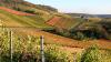 13 Heilbronn Weinsberg Weinberge 031.JPG 680 13 Heilbronn Weinsberg Weinberge 031.JPG 680