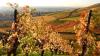 23 Heilbronn Weinsberg Weinberge 060.JPG 680