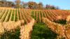 26 Heilbronn Weinsberg Weinberge 063.JPG 680 26 Heilbronn Weinsberg Weinberge 063.JPG 680