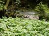 Im Jenbachtal Im Jenbachtal