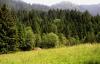 BAD FEILNBACH > Wirtsalm > Blick zum Sulzberg BAD FEILNBACH > Wirtsalm > Blick zum Sulzberg