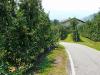 Radltour von Siegertsbrunn nach Meran Radltour von Siegertsbrunn nach Meran