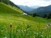 Radtour z. Wallberghaus>nach der Portnessalm Radtour z. Wallberghaus>nach der Portnessalm
