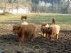 Radlausflug zum Graf Aygo Pass 4 Radlausflug zum Graf Aygo Pass 4